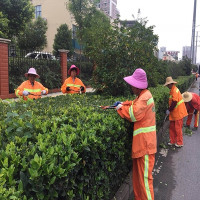 新站區(qū)道路清掃保潔、綠化管養(yǎng)項(xiàng)目
