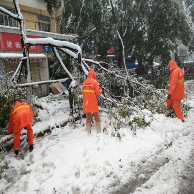 新站區(qū)道路清掃保潔、綠化管養(yǎng)項(xiàng)目